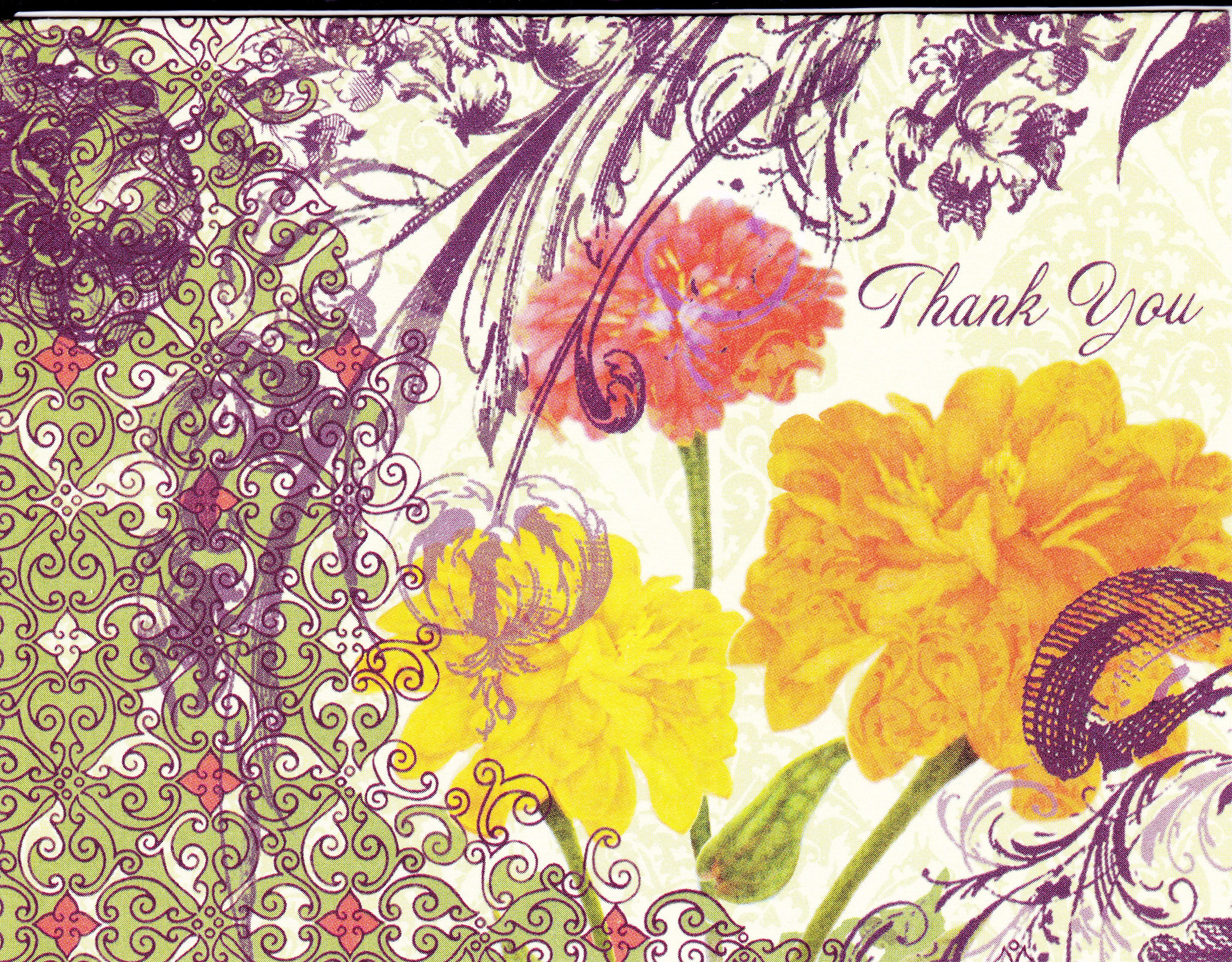 Solomon card — front